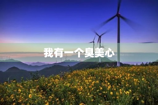我有一个臭美心 我有一个臭美心