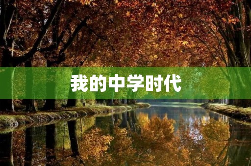 我的中学时代