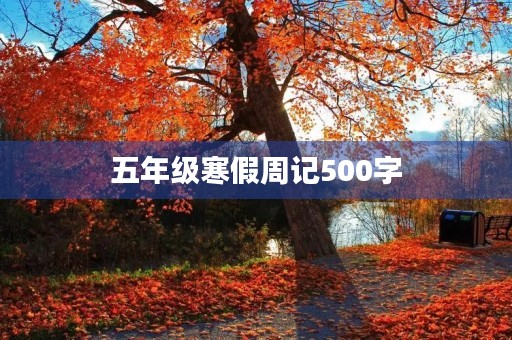 五年级寒假周记500字