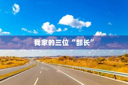 我家的三位“部长”