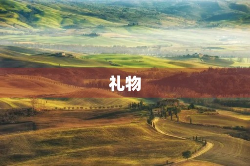 礼物