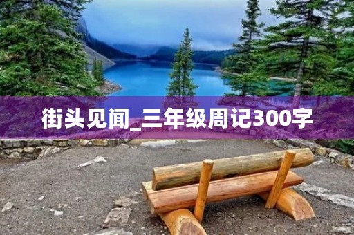 街头见闻_三年级周记300字 街头见闻_三年级周记300字