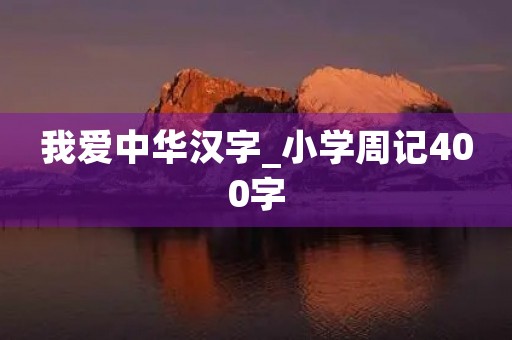 我爱中华汉字_小学周记400字