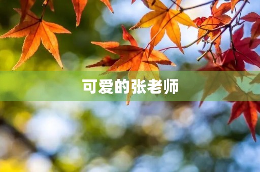可爱的张老师 可爱的张老师