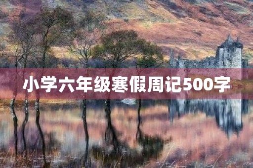 小学六年级寒假周记500字