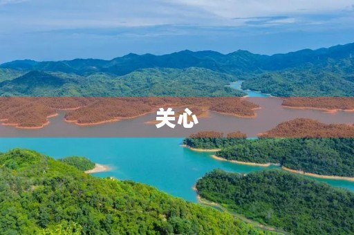 关心