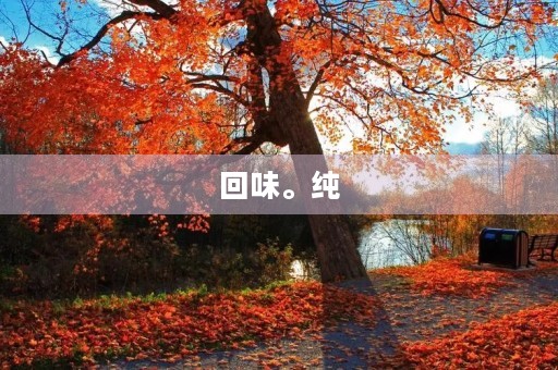 回味。纯