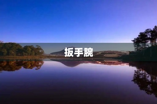 扳手腕 扳手腕
