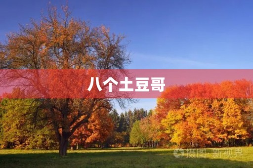八个土豆哥 八个土豆哥