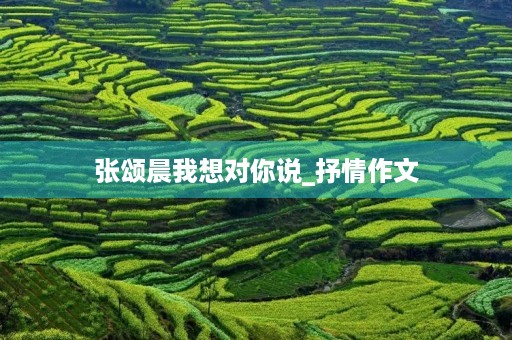 张颂晨我想对你说_抒情作文