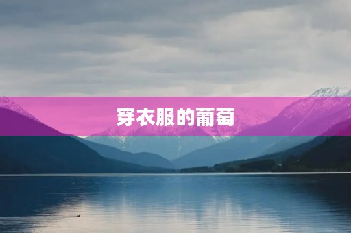 穿衣服的葡萄 穿衣服的葡萄
