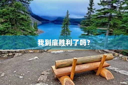 我到底胜利了吗? 我到底胜利了吗?