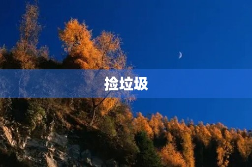 捡垃圾 捡垃圾