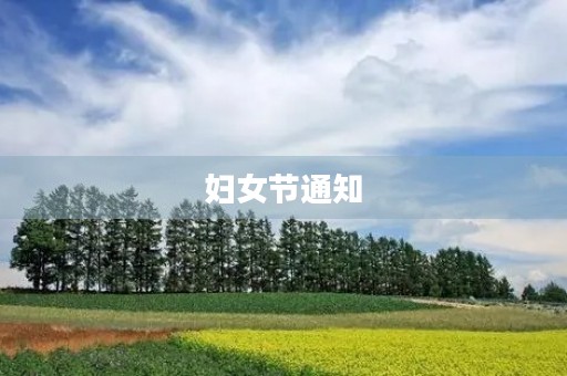 妇女节通知