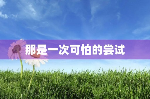 那是一次可怕的尝试 那是一次可怕的尝试