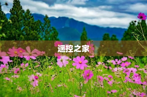 遥控之家 遥控之家