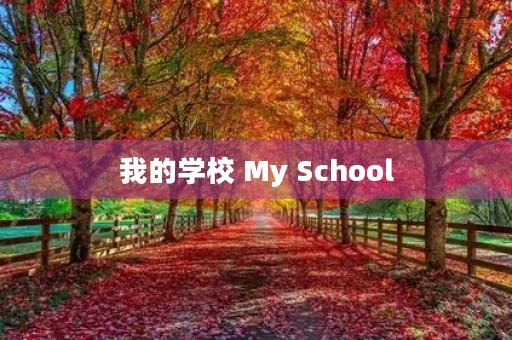 我的学校 My School
