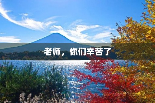 老师，你们辛苦了