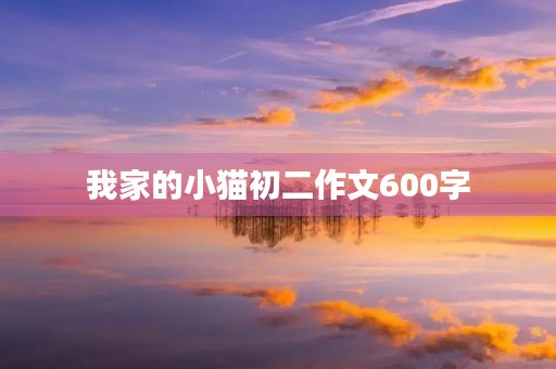 我家的小猫初二作文600字 我家的小猫初二作文600字