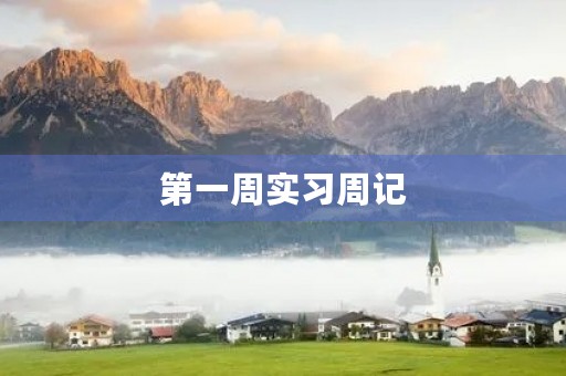 第一周实习周记