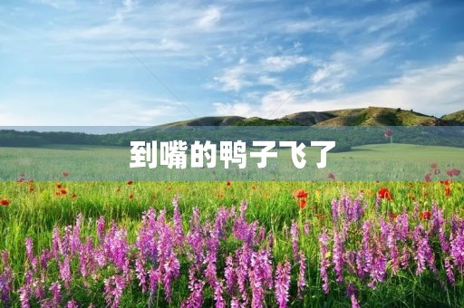 到嘴的鸭子飞了 到嘴的鸭子飞了
