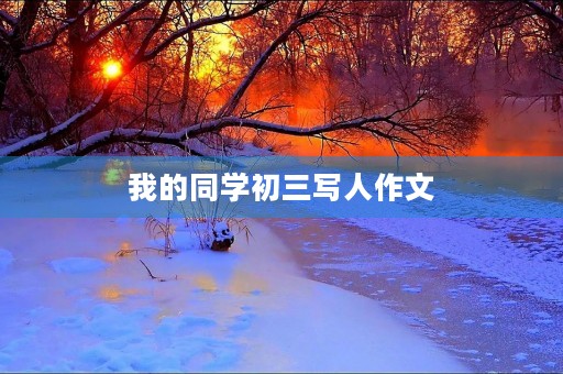 我的同学初三写人作文