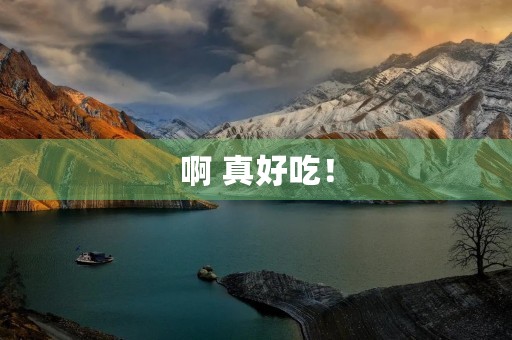 啊 真好吃! 啊 真好吃!