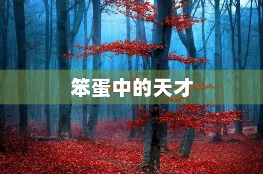笨蛋中的天才 笨蛋中的天才
