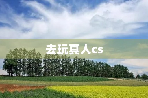 去玩真人cs 去玩真人cs