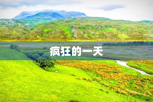 疯狂的一天 疯狂的一天