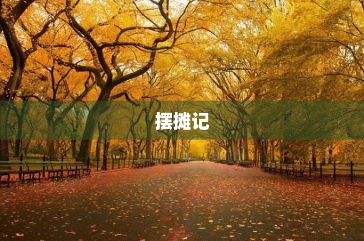 摆摊记 摆摊记