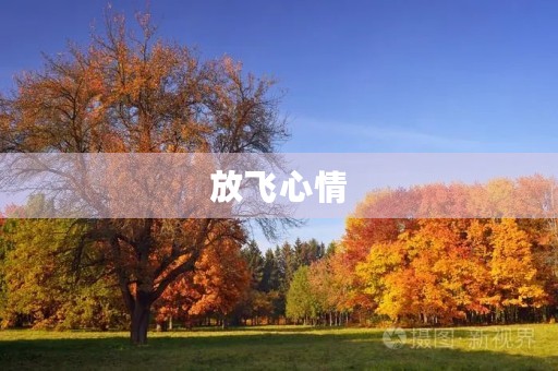 放飞心情 放飞心情