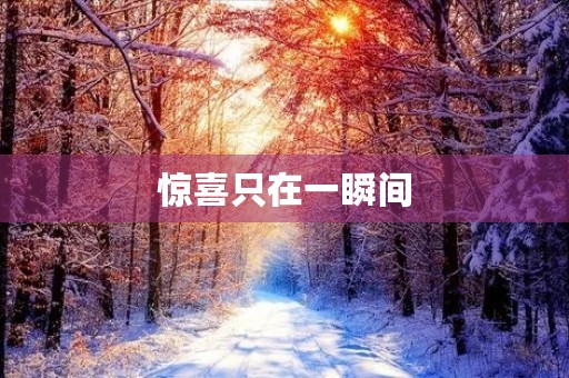 惊喜只在一瞬间 惊喜只在一瞬间
