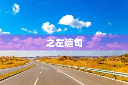 之左造句