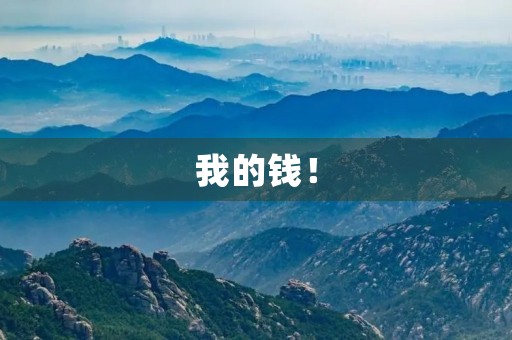 我的钱! 我的钱!