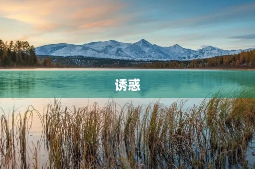 诱惑 诱惑