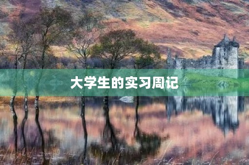 大学生的实习周记