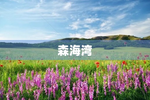 森海湾 森海湾