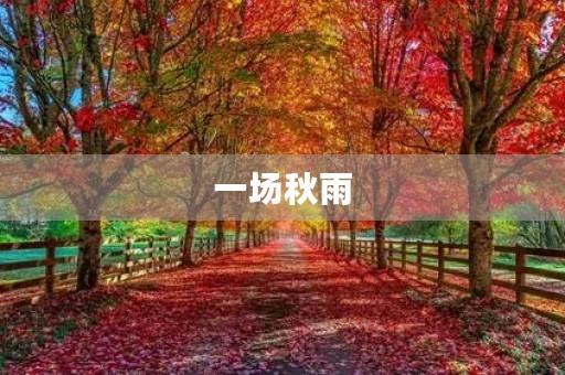 一场秋雨 一场秋雨