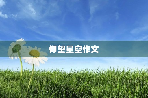 仰望星空作文