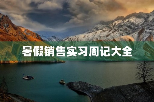 暑假销售实习周记大全