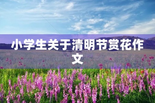 小学生关于清明节赏花作文