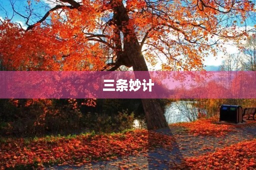 三条妙计 三条妙计