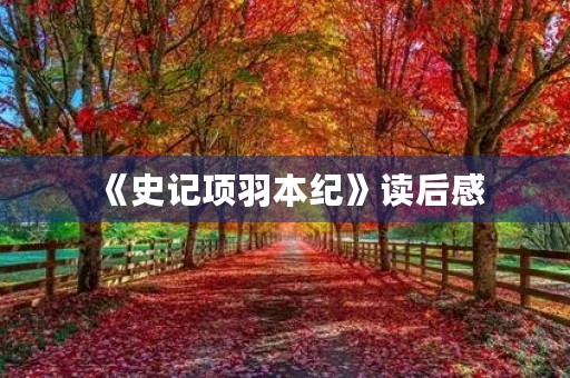 《史记项羽本纪》读后感 《史记项羽本纪》读后感