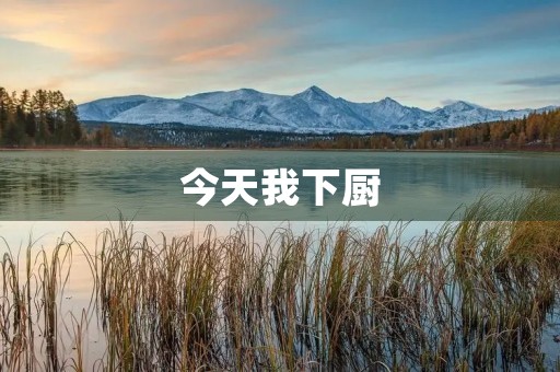 今天我下厨 今天我下厨