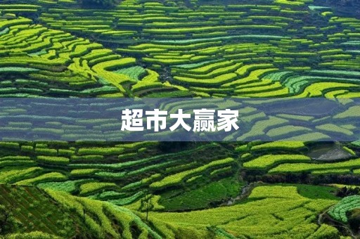 超市大赢家 超市大赢家