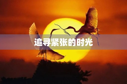 追寻紧张的时光 追寻紧张的时光
