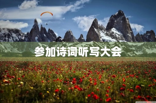 参加诗词听写大会 参加诗词听写大会
