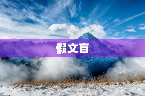 假文盲 假文盲