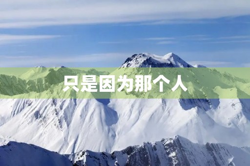 只是因为那个人 只是因为那个人